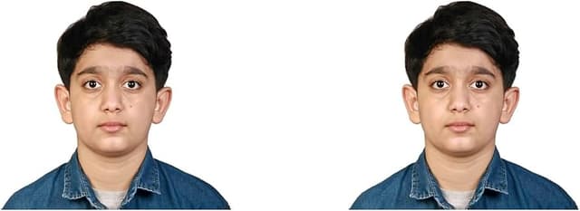 VisaGuidance.images.passportPhotoAlt